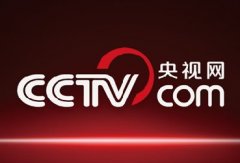 CCTV央视网：互联网化